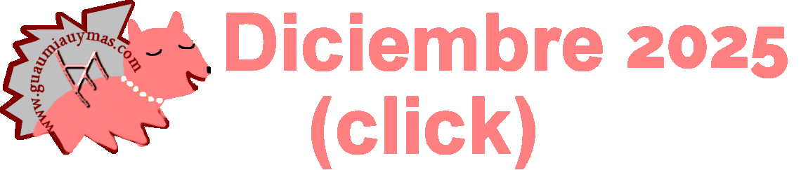 Diciembre novedades 2025