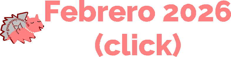 Novedades 2026 febrero