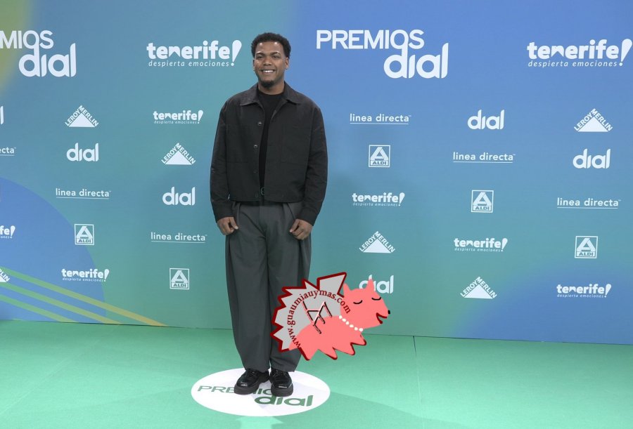 Premios Dial 2026 Tenerife Photocall