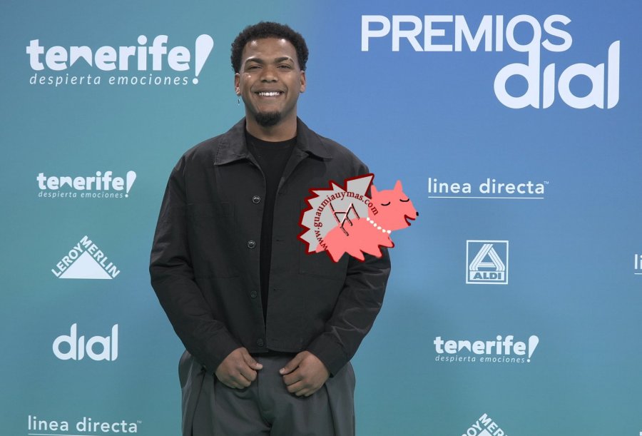 Premios Dial 2026 Tenerife Photocall