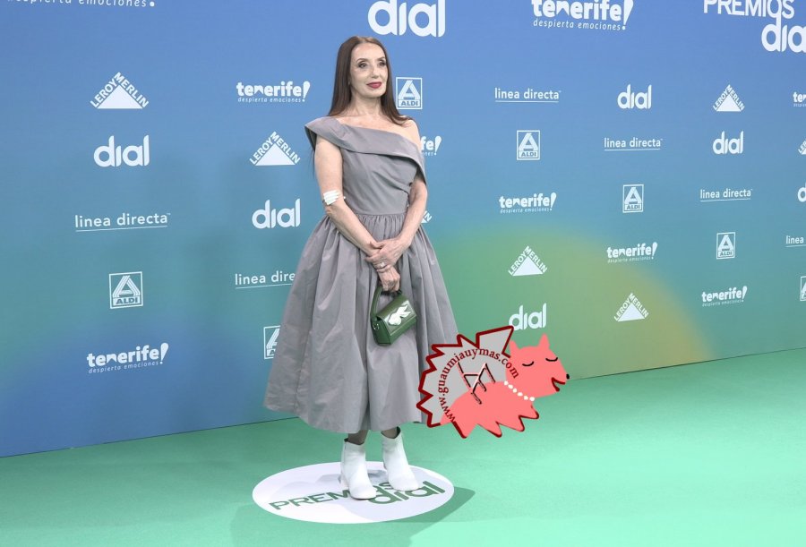 Premios Dial 2026 Tenerife Photocall 