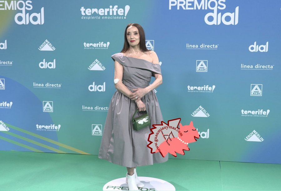 Premios Dial 2026 Tenerife Photocall 