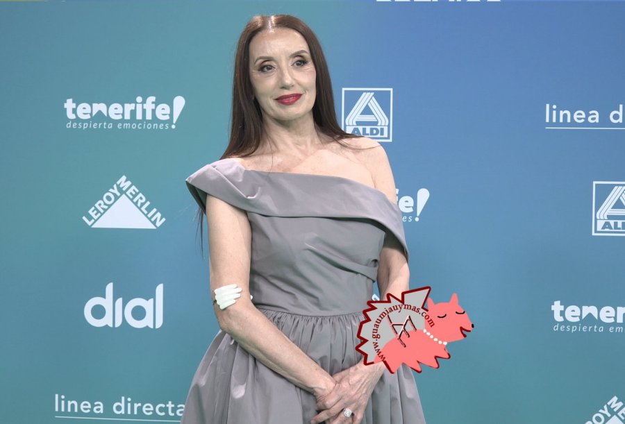 Premios Dial 2026 Tenerife Photocall 