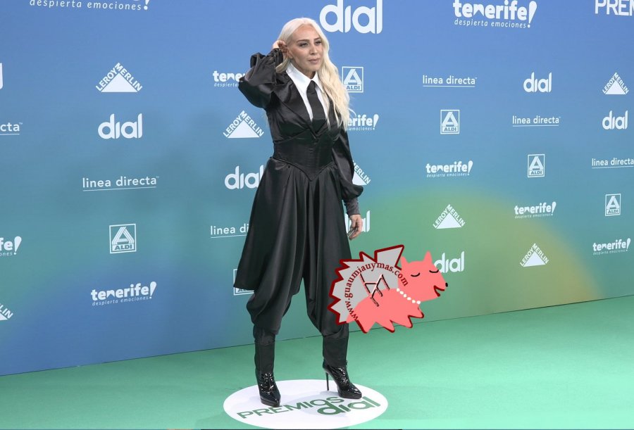 Premios Dial 2026 Tenerife Photocall