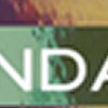 Lavanda
