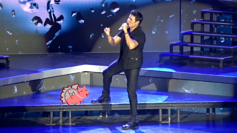 Chayanne en Murcia Bailemos Otra Vez Tour
