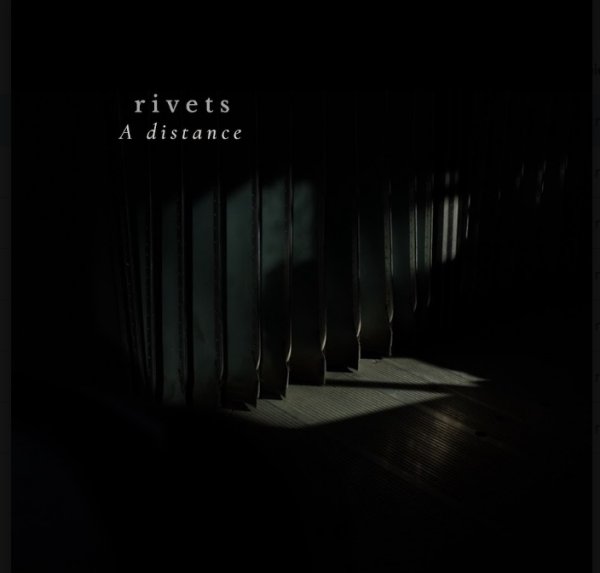RIVETS
